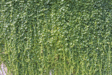 Similar image 11502860