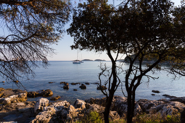 Similar image 11502861