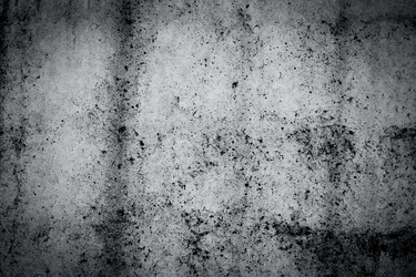 Similar image 11502862