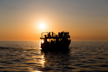 Similar image 11502869