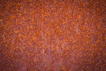 Similar image 11502878