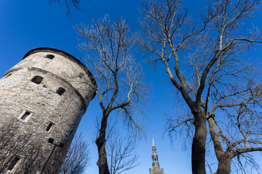 Similar image 11502950