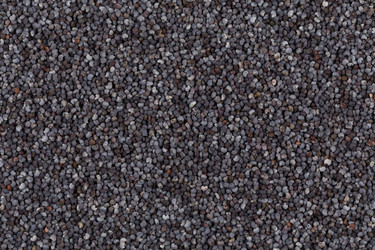 Similar image 11502961