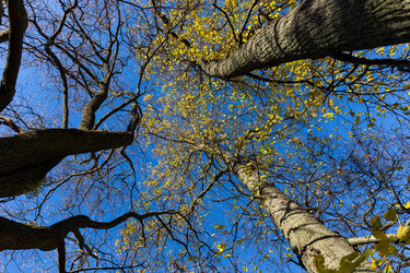 Similar image 11502997