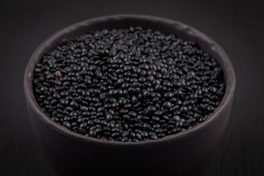 Similar image 11503077