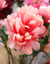 Similar image 11487105