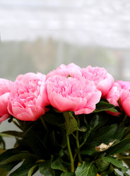 Similar image 11487107