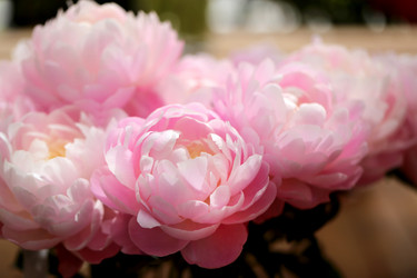 Similar image 11487109