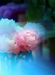 Similar image 11487110