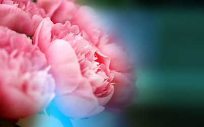 Similar image 11487111