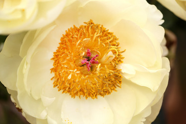 Similar image 11487112