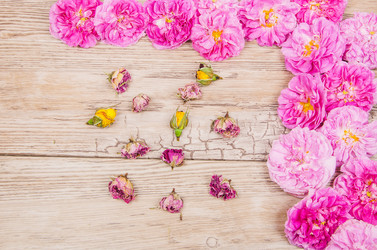 Similar image 11487277