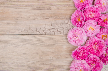 Similar image 11487281