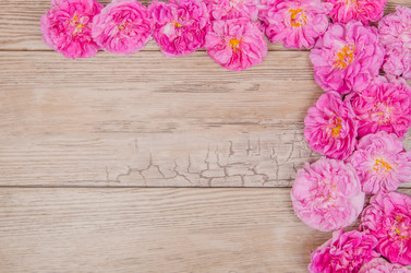 Similar image 11487282