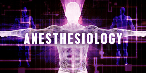 Similar image 11489651