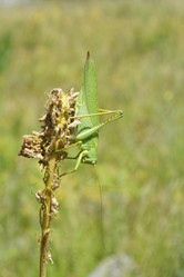 Similar image 11486465