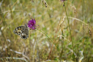 Similar image 11486466