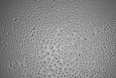 Similar image 11488804