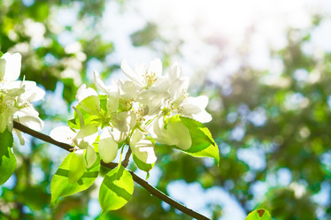 Similar image 11488385