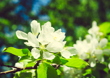 Similar image 11488386