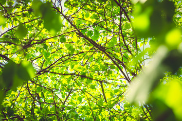 Similar image 11488389