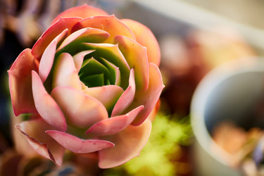 Similar image 11486474