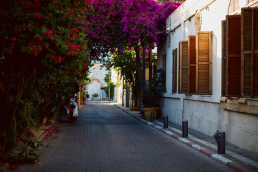 Similar image 11486475