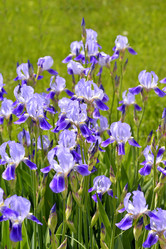 Similar image 11494103