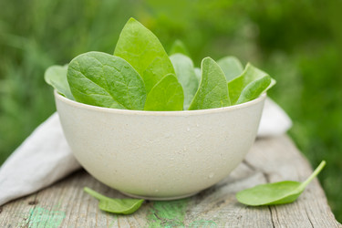 Similar image 11486880