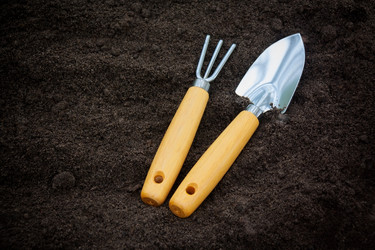 Similar image 11486749