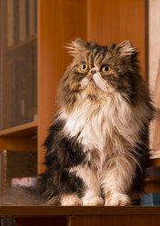 Similar image 11488812