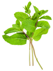 Similar image 11488327