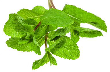 Similar image 11488329