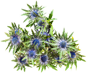 Similar image 11488377