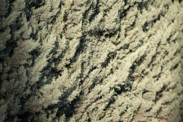 Similar image 11488695