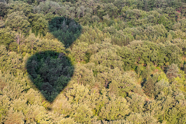 Similar image 11488703