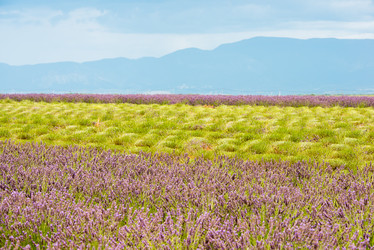 Similar image 11488710