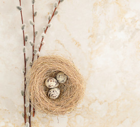 Similar image 11492178