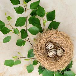 Similar image 11492190