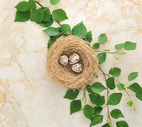 Similar image 11492191