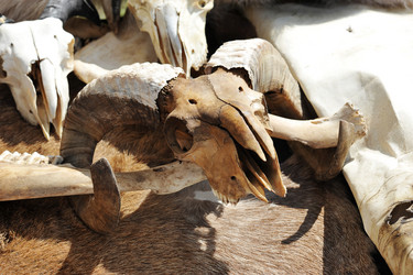 Similar image 11492356