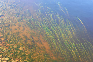 Similar image 11492211