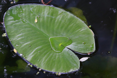 Similar image 11486453