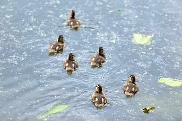 Similar image 11486454