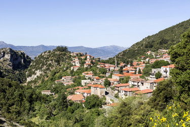 Similar image 11497341