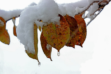 Similar image 11489159