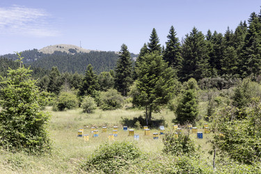 Similar image 11497344