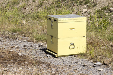 Similar image 11497345