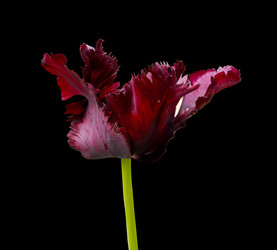 Similar image 11495603