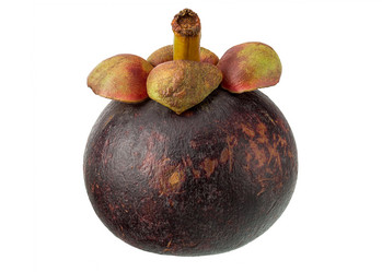 Similar image 11489405